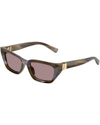 Dolce & Gabbana - Dg4532 3447La Sunglasses Acetate Cat Eye Normal - Lyst