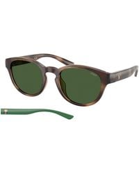 Polo Ralph Lauren - Ph4233U 607071 Sunglasses Injected Pantos Normal - Lyst