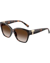 Tiffany & Co. - Tf4254U 80153B Sunglasses Injected Squared Normal Nuanced - Lyst