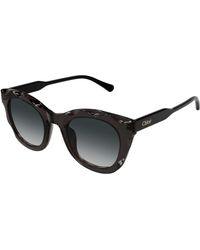 Chloé - Ch0295S 001 Sunglasses Acetate Round - Lyst