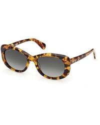 MAX&Co. - Mo0155 53P Sunglasses Acetate Butterfly Normal - Lyst
