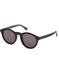 Web - We0398 05A Sunglasses Acetate Smoke Round Normal - Lyst