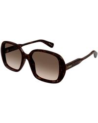Chloé - Ch0222S 002 Sunglasses Acetate Squared - Lyst