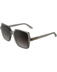 Calvin Klein - Ck25537S 260 Sunglasses Bio-Injected Butterfly Normal - Lyst