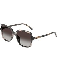 Dolce & Gabbana - Dg4539 31728G Sunglasses Acetate Squared Normal Nuanced - Lyst