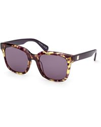 MAX&Co. - Mo0146 56Y Sunglasses Acetate Squared Normal - Lyst