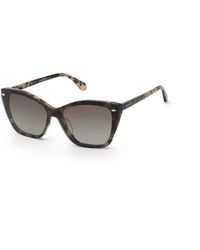 Twinset - Utw130 Xapp Optical Frames Acetate Butterfly Nuanced - Lyst