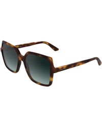 Calvin Klein - Ck25537S 235 Sunglasses Bio-Injected Petrolium Butterfly Normal - Lyst