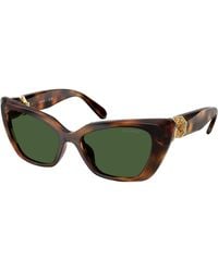 Swarovski - Sk6047 100271 Sunglasses Injected Cat Eye Normal - Lyst