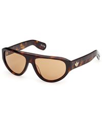 adidas Originals - Or0146 53E Sunglasses Acetate Pilot Normal - Lyst