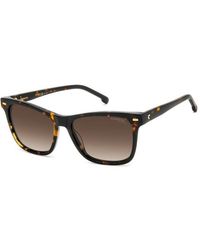 Carrera - 3001/S 086/Ha Sunglasses Acetate Squared Shaded - Lyst