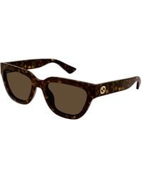Gucci - Gg1578S 002 Sunglasses Injected Cat Eye - Lyst