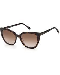 Pierre Cardin - P.C. 8498/S 086/Ha Sunglasses Acetate Cat Eye Shaded - Lyst