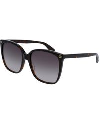 Gucci - Gg0022S 003 Sunglasses Acetate Cat Eye Normal - Lyst