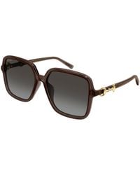 Gucci - Gg2219Sa 003 Sunglasses Acetate Butterfly Nuanced - Lyst