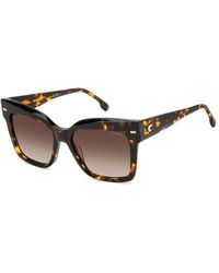 Carrera - 3037/S 086/Ha Sunglasses Acetate Butterfly Shaded - Lyst