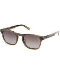 Timberland - Tb00100 61R Sunglasses Acetate Round Polarized - Lyst