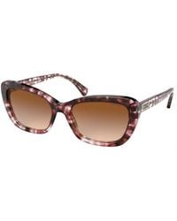 Ralph Lauren - Ra5264 584513 Sunglasses Acetate Butterfly Normal Shaded - Lyst