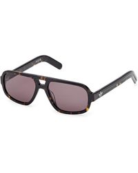 adidas - Or0134 52E Sunglasses Acetate Squared Normal - Lyst