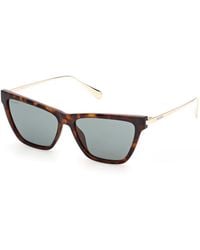 MAX&Co. - Mo0174 53N Sunglasses Injected Cat Eye Normal - Lyst