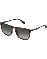 Police - Splq80E Origins Lite 34 828P Sunglasses Injected Smoke Squared Nuanced - Lyst