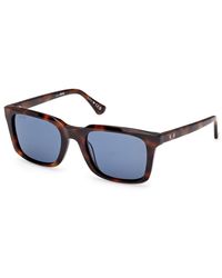 Web - We0388 52V Sunglasses Acetate Squared Normal - Lyst