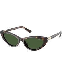 Polo Ralph Lauren - Ph4199U 500371 Sunglasses Acetate Cat Eye Normal - Lyst