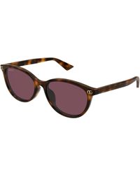 Gucci - Gg1818Sk 002 Sunglasses Acetate Round - Lyst