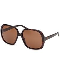 Guess - Gu00350 52E Sunglasses Injected Butterfly Normal - Lyst