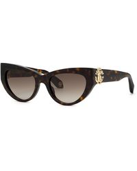 Roberto Cavalli - Src017M 722 Sunglasses Acetate Cat Eye Normal Shaded - Lyst