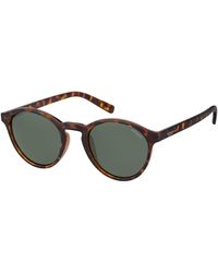 Polaroid - Pld 1013/S V08/H8 Sunglasses Plastic Round Polarized - Lyst