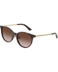 Jimmy Choo - Jc5056Jd 500213 Sunglasses Acetate Pantos Normal Shaded - Lyst