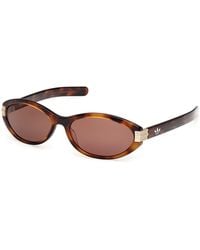 adidas - Or0129 52E Sunglasses Acetate Round Normal - Lyst