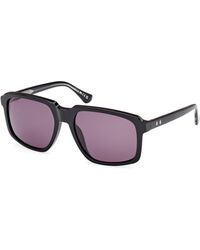 Web - We0378 05A Sunglasses Acetate Smoke Squared Normal - Lyst