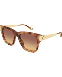 Chloé - Ch0349S 002 Sunglasses Acetate Cat Eye - Lyst