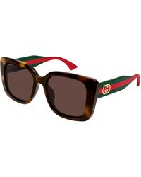 Gucci - Gg2118Sa 002 Sunglasses Acetate Butterfly - Lyst