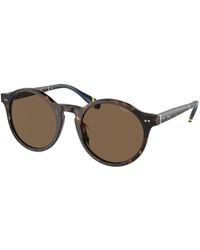 Polo Ralph Lauren - Ph4204U 500373 Sunglasses Acetate Pantos Normal - Lyst