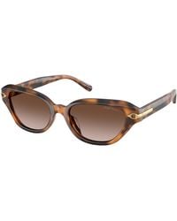 Ralph Lauren - Rl8244U 608913 Sunglasses Acetate Cat Eye Normal Nuanced - Lyst