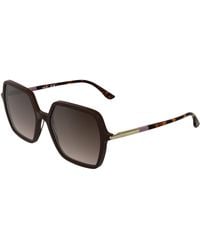 Lacoste - L6079S 601 Sunglasses Acetate Squared Normal Shaded - Lyst