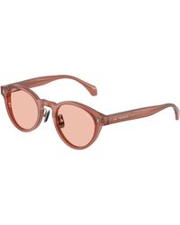 Moncler - Me6017D Ember 302684 Sunglasses Acetate Round Normal - Lyst