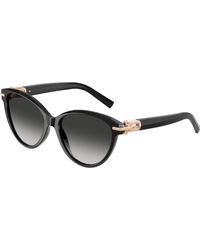 Tiffany & Co. - Tf4261 80013C Sunglasses Acetate Cat Eye Normal Nuanced - Lyst