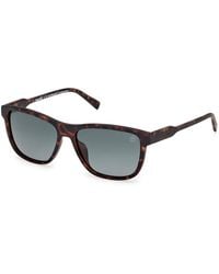 Timberland - Tb00052-H 52D Sunglasses Injected Smoke Squared Polarized - Lyst