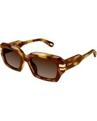 Chloé - Ch0256S 002 Sunglasses Acetate Squared - Lyst