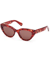 MAX&Co. - Mo0127 54E Sunglasses Acetate Cat Eye Normal - Lyst