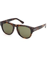 Web - We0402 52N Sunglasses Acetate Round Normal - Lyst