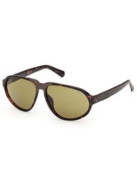 Guess - Gu00303 52N Sunglasses Injected Pilot Normal - Lyst