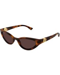 Gucci - Gg2194S 002 Sunglasses Injected Cat Eye - Lyst