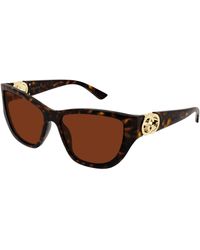 Gucci - Gg2122S 003 Sunglasses Injected Cat Eye - Lyst