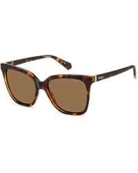 Polaroid - Pld 4155/S/X 086/Sp Sunglasses Plastic Squared Polarized - Lyst
