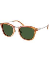 Ralph Lauren - Rl8246 618571 Sunglasses Acetate Pantos Normal - Lyst